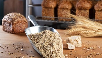 Carbohidratos. Cuántos y por qué